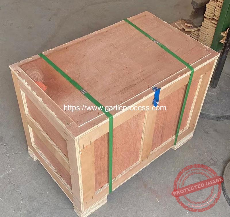 Garlic-Stem-and-Root-Cutting-Machine-Package-for-USA